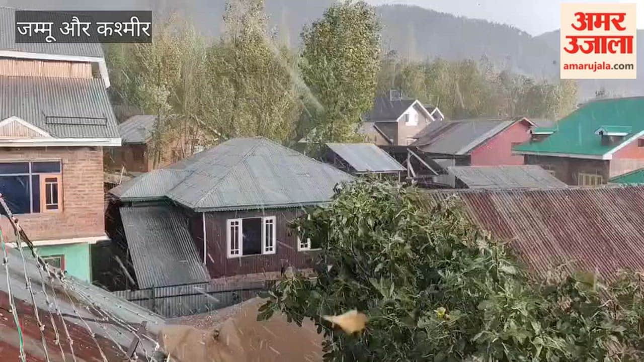 Apple orchards in Bandipora suffer heavy damage due to hailstorm.
