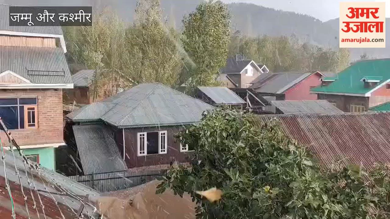Apple orchards in Bandipora suffer heavy damage due to hailstorm.