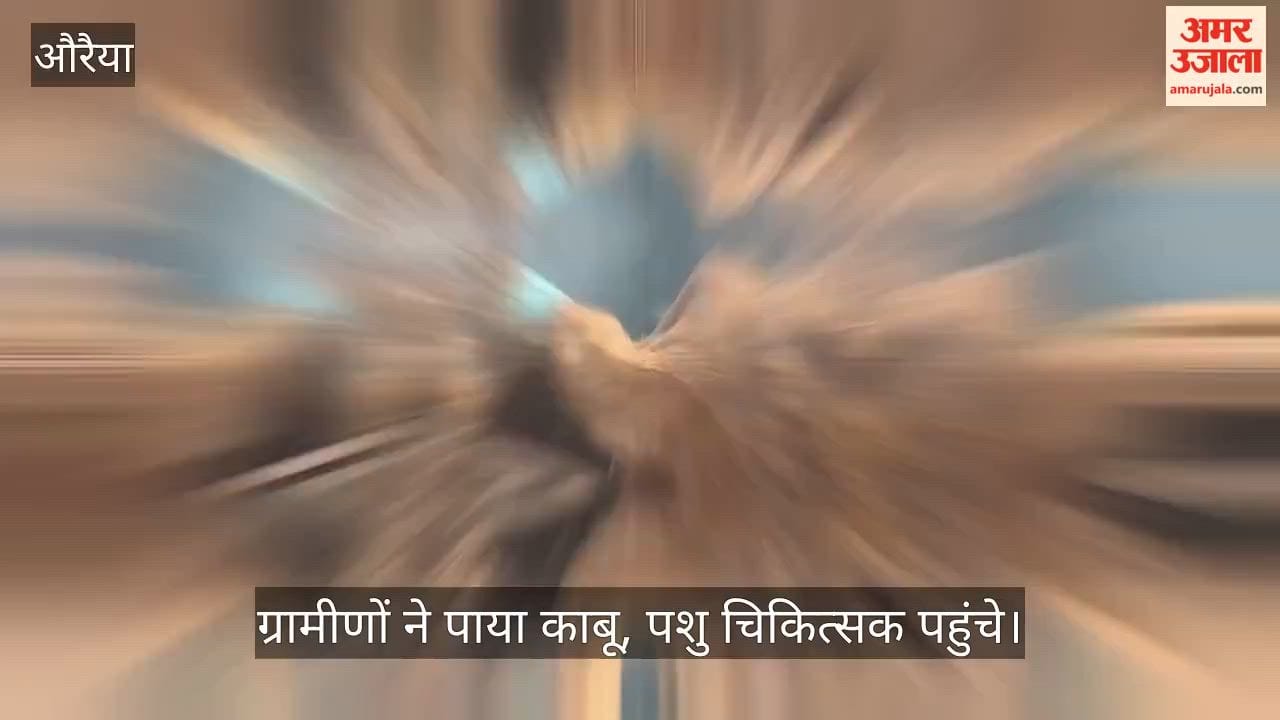 Massive fire breaks out at a house in Kudarkot Auraiya household goods destroyed and 12 cattle scorched