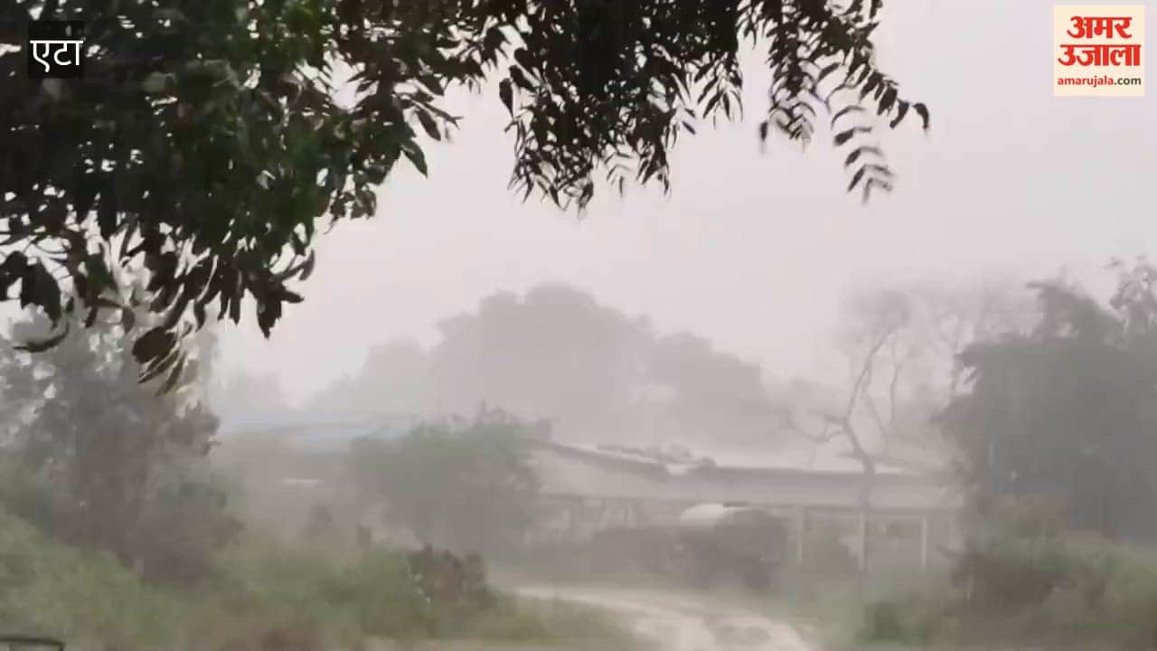 Etah Weather: Strong Winds, Heavy Rain and Hail Damage Crops in Mirhachi