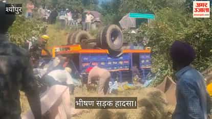 Horrific road accident in the Sheopur valley; tractor-trolley carrying pilgrims overturns one dead