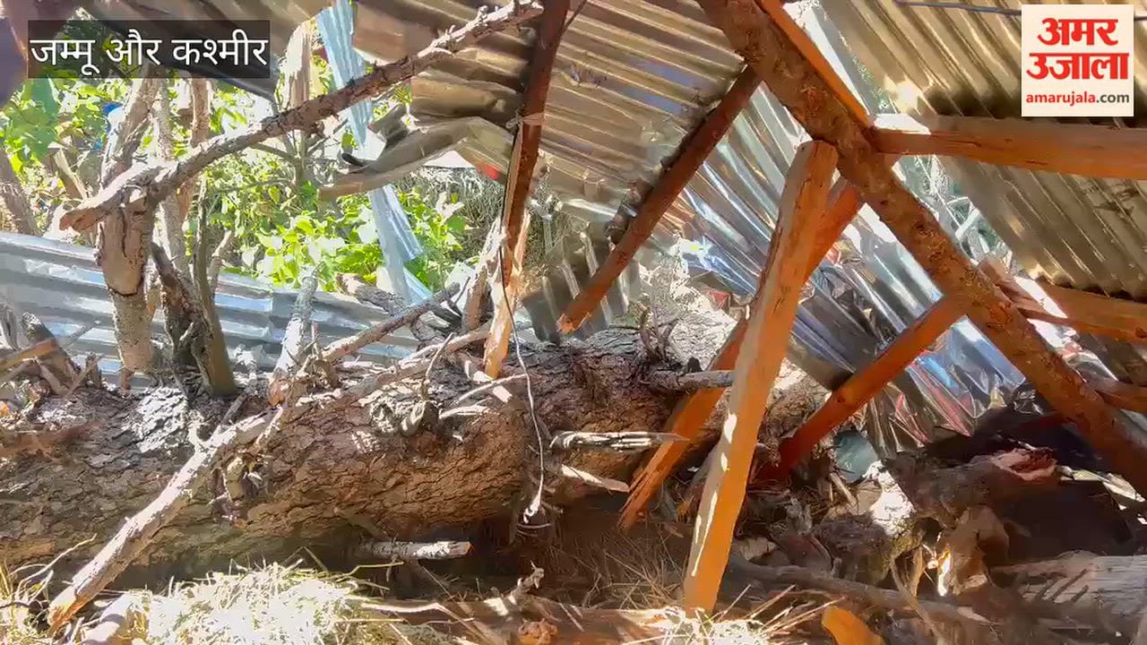 Strong Winds Damage Cowshed in Keller’s Shalibanjer Mujapathri