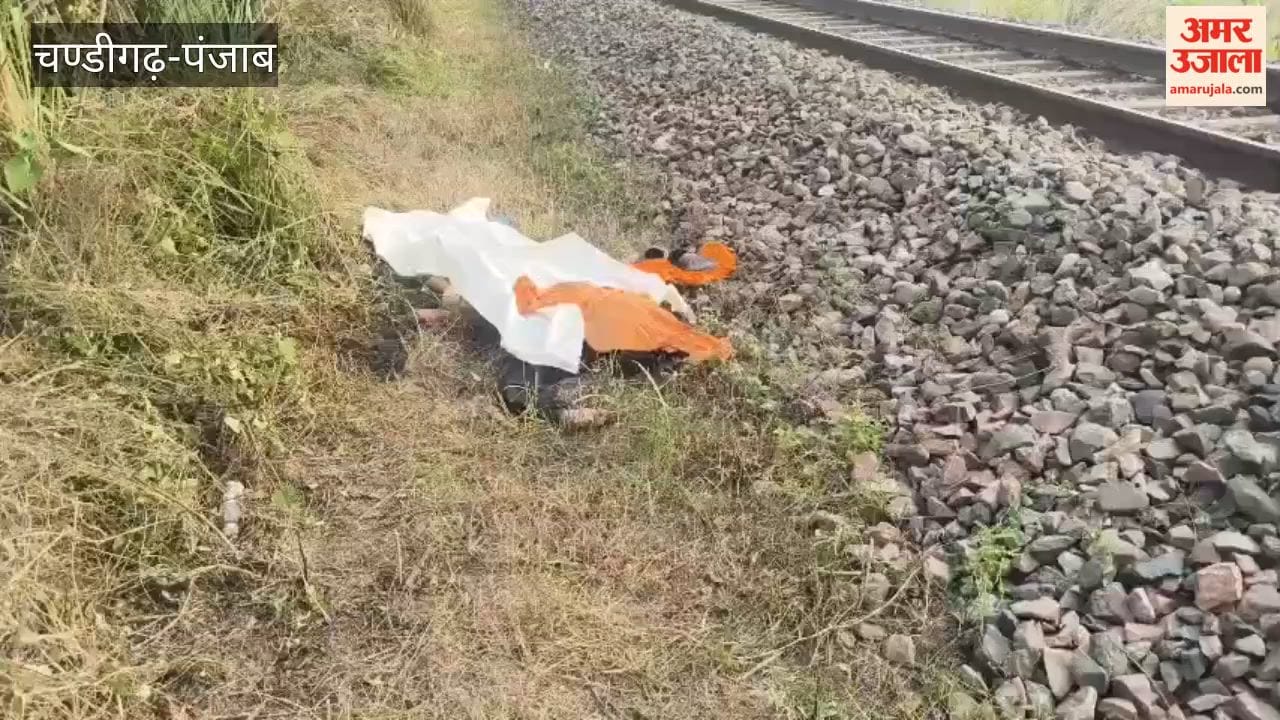 Elderly man dies a tragic death after being struck by a train near Dadhi village; passenger train halted for 10 minutes
