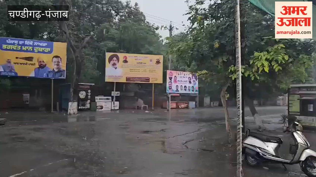Rain changes the weather in Faridkot; the paddy crop faces a crisis from the mandis to the fields! Farmers' anxiety mounts