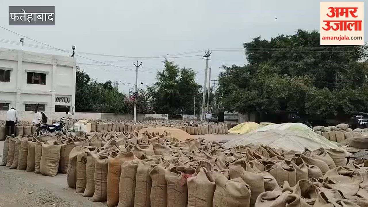 Weather changes in Fatehabad; paddy lying in the open—traders busy covering it with tarpaulins