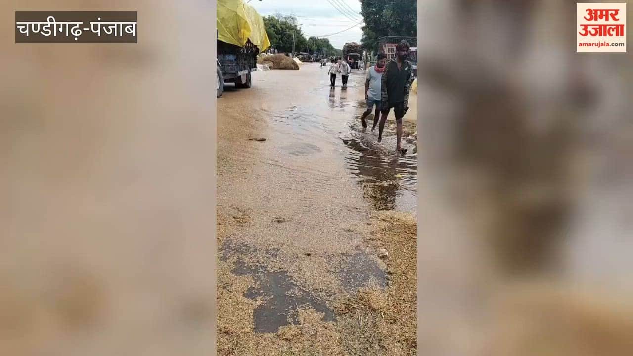 Rain exposes the poor arrangements at the Fazilka grain market; waterlogging on roads; paddy crop affected