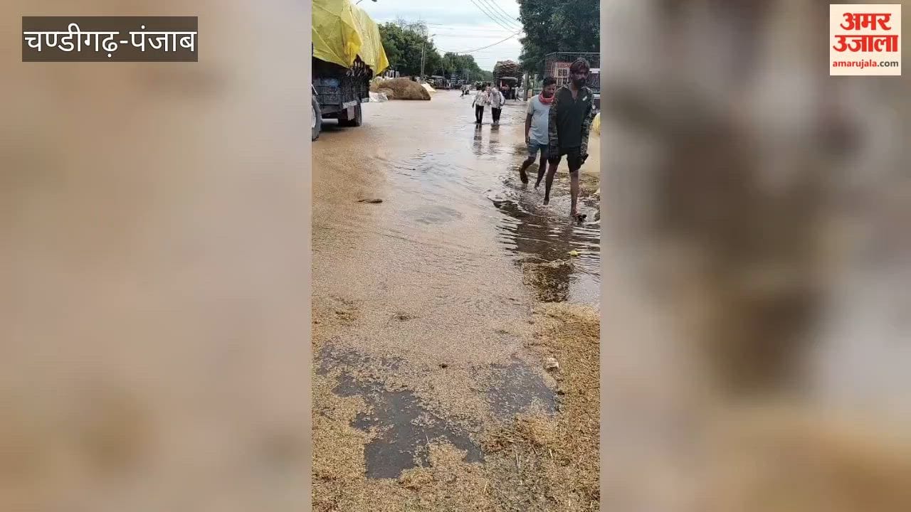 Rain exposes the poor arrangements at the Fazilka grain market; waterlogging on roads; paddy crop affected