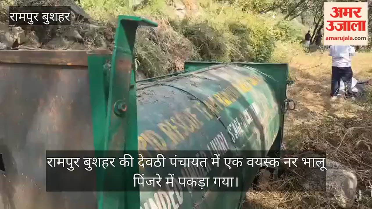 Devthi Rampur Bear Captured and Released into Forest