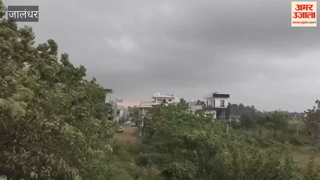Heavy rain in Jalandhar plunged the day into darkness and caused waterlogging on the roads; temperatures dropped due to cool winds, and people enjoyed tea and pakoras