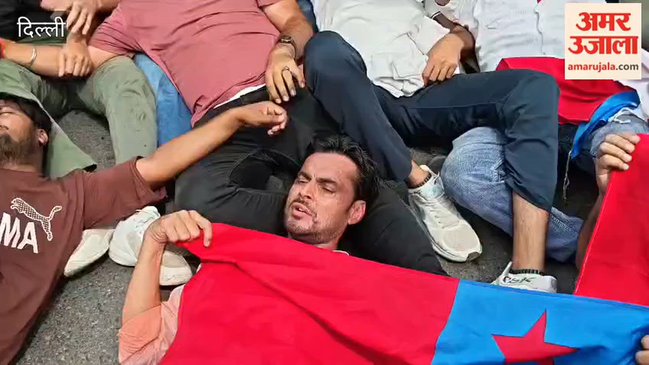 Delhi Police detained several protesters