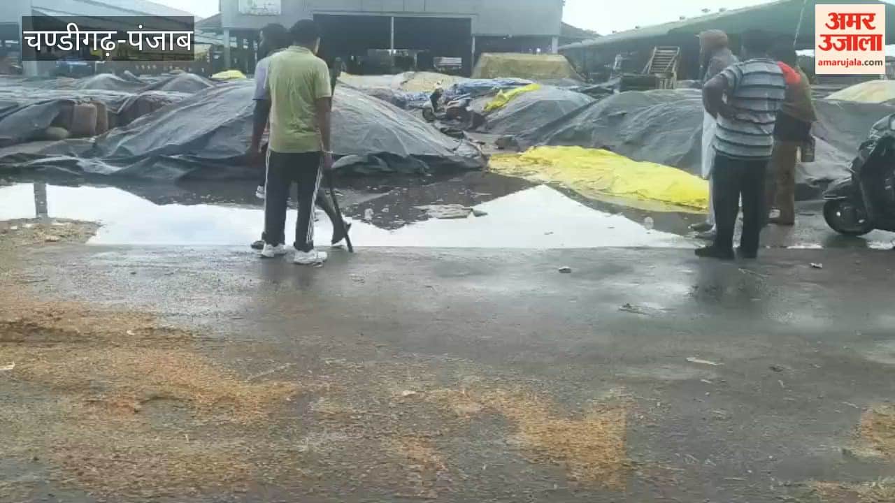 Waterlogging at Jagraon grain market due to heavy rain; harvested paddy crop left in the open gets drenched