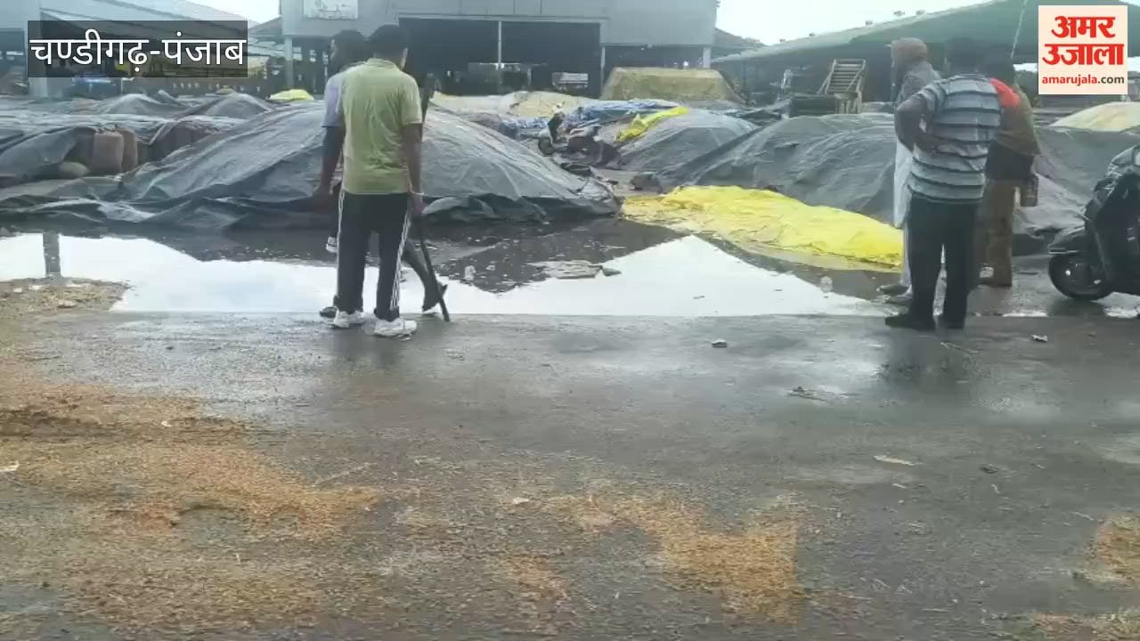 Waterlogging at Jagraon grain market due to heavy rain; harvested paddy crop left in the open gets drenched