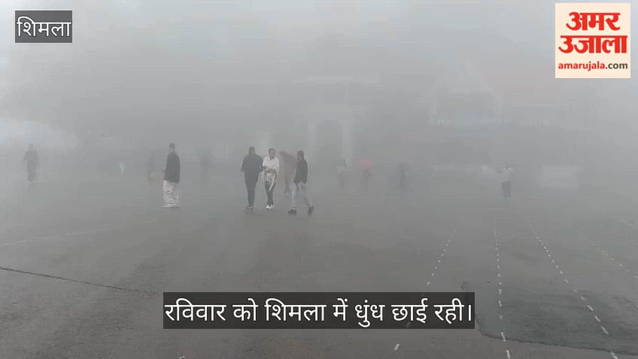 Shimla Fog and Cold Weather Sunday