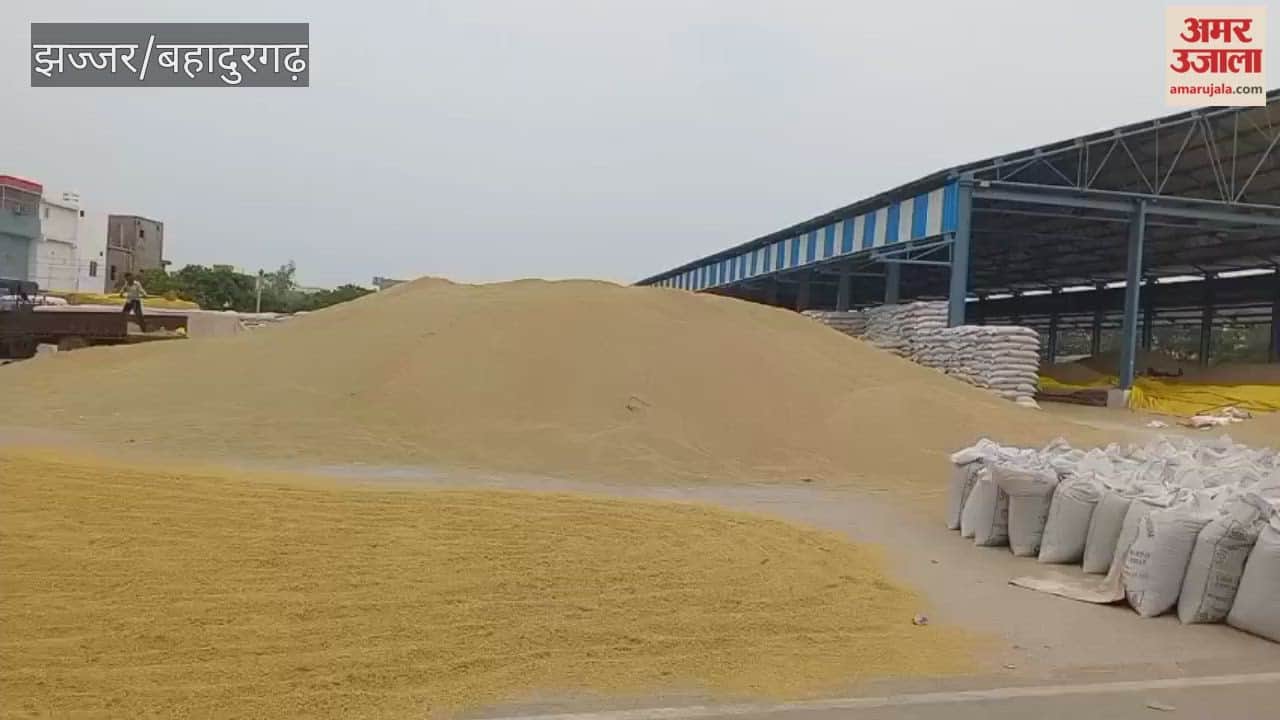 Weather changes in Jhajjar; rain likely to soak the crops kept in the mandi.