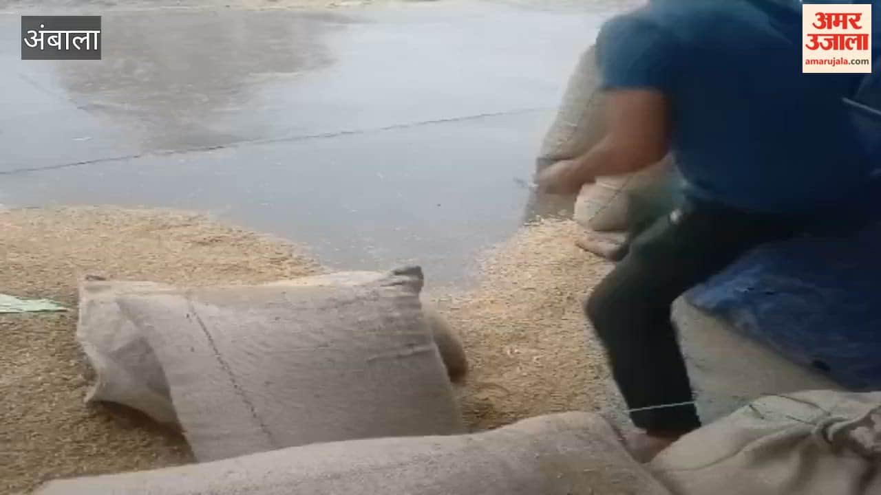 Paddy soaked by rain at Ambala's Mohra grain market; poor arrangements exposed.