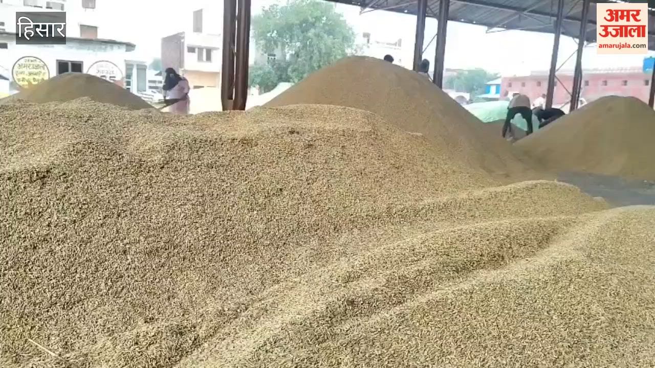 Government procurement of PR paddy stalled in Hansi Mandi for four days; farmers distressed.