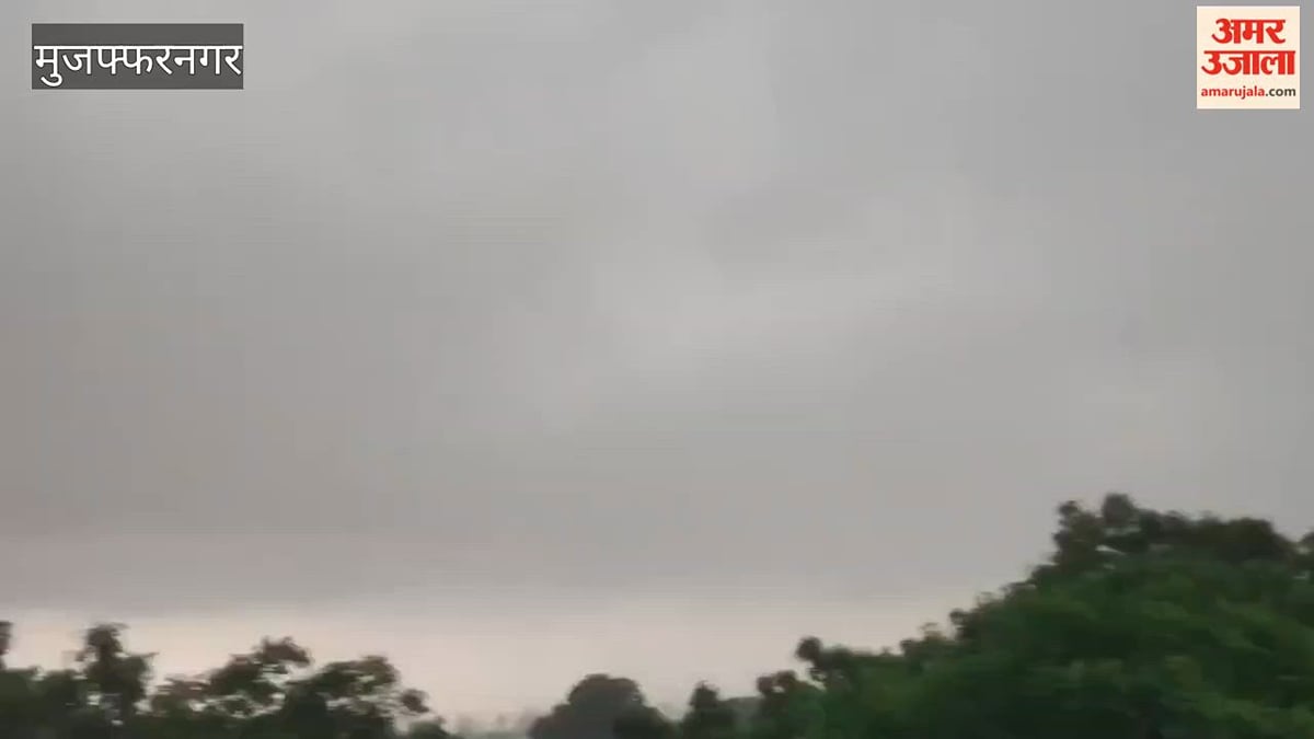 मुजफ्फरनगर: काले बादलों से दोपहर में छाया अंधेरा, तेज हवाओं के साथ बारिश
