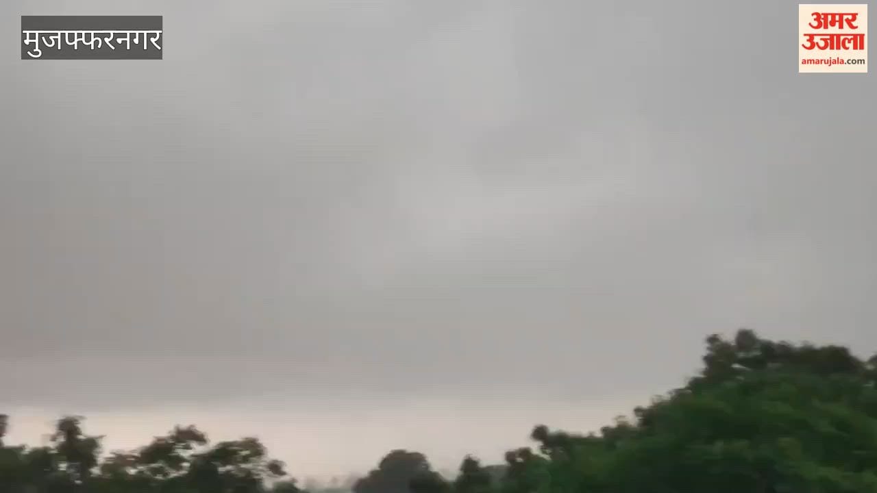 Muzaffarnagar: Darkness descends at midday due to dark clouds; rain accompanied by strong winds.