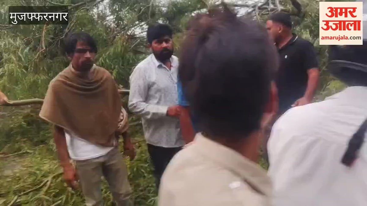मुजफ्फरनगर: आंधी और बारिश के कारण यूकेलिप्टस का पेड़ गिरा, यातायात बाधित