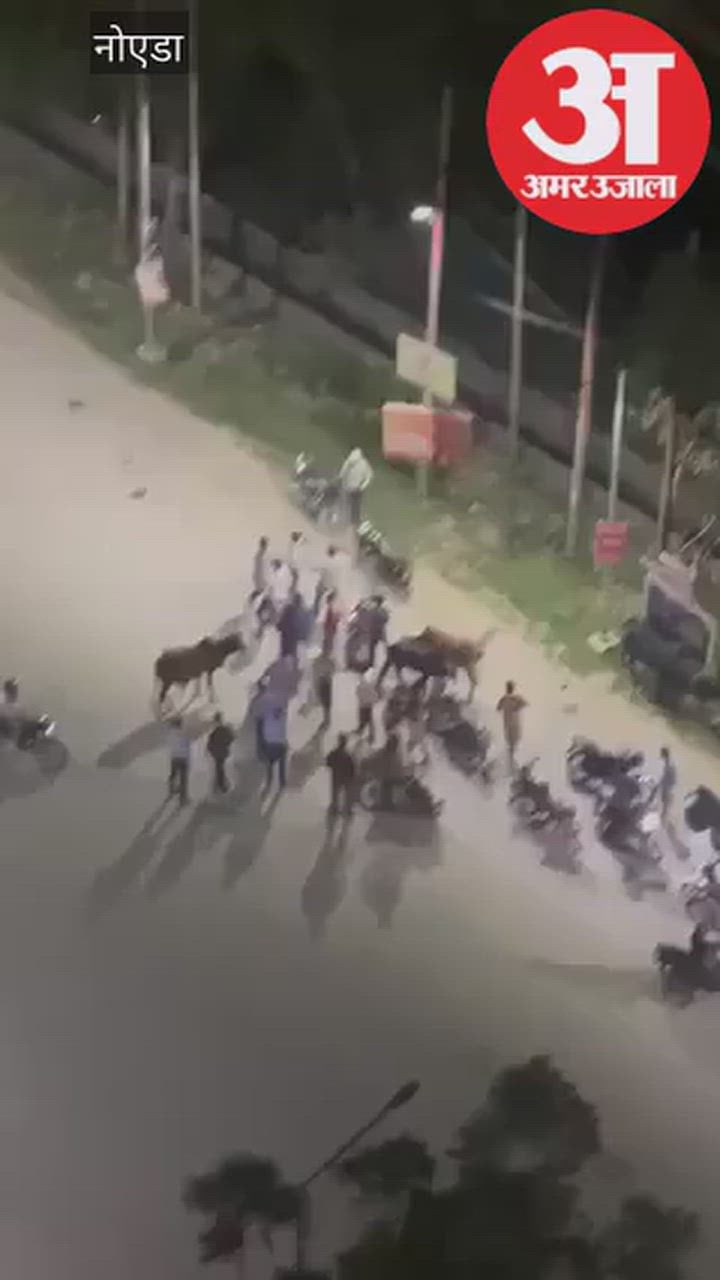 सोसाइडी के बाहर डिलीवरी राइडरों में घमासान