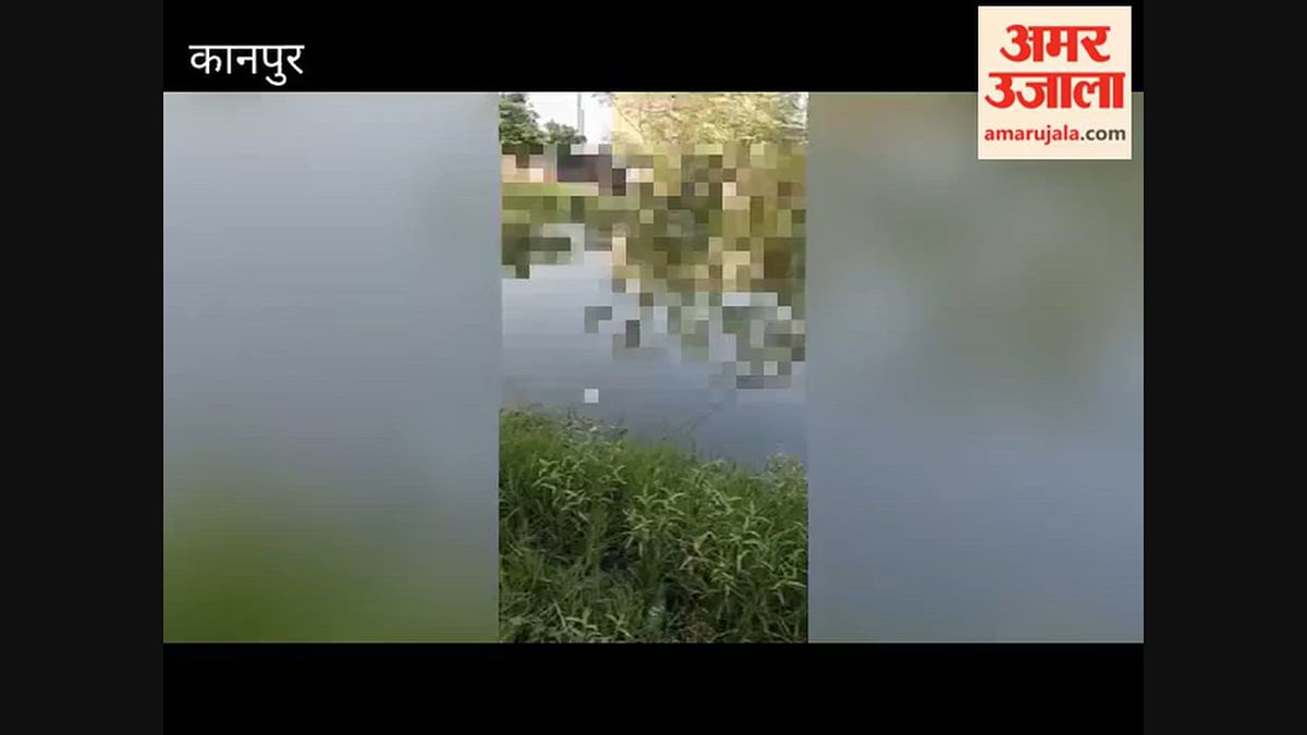 कानपुर: नहर में उतराता मिला नवजात का शव, पुलिस ने पोस्टमार्टम के लिए भिजवाया