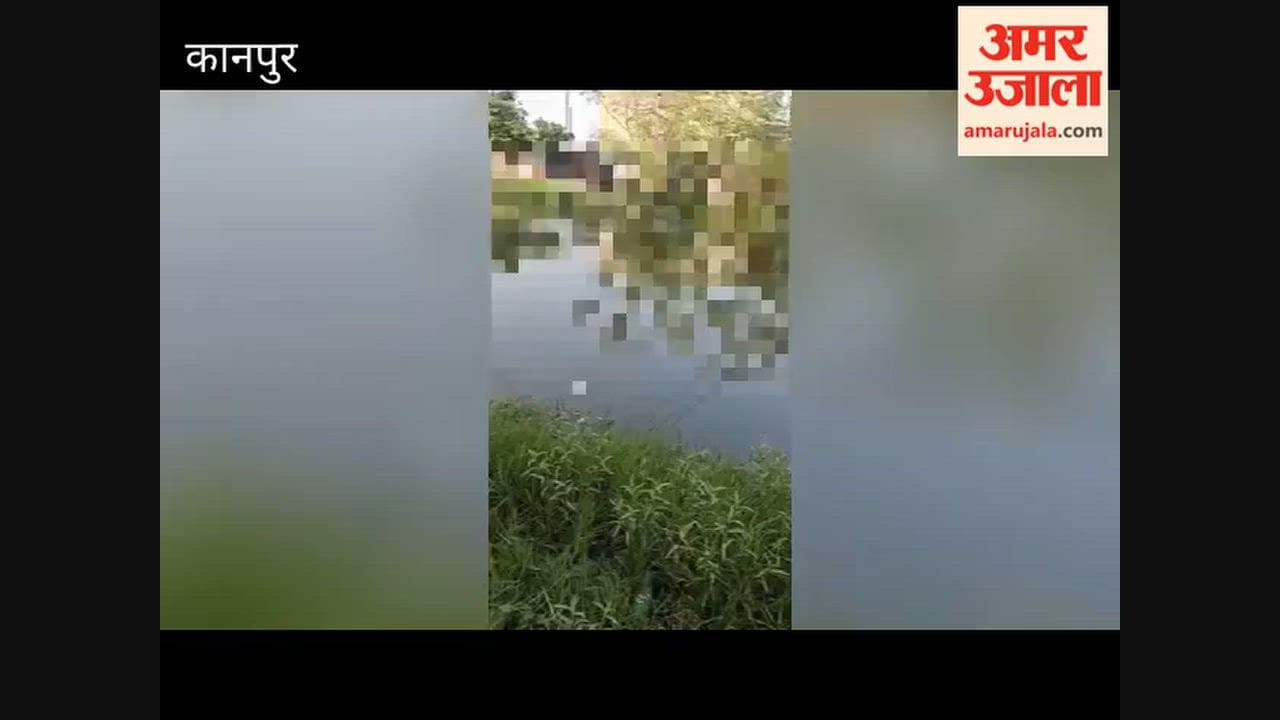 Kanpur: Body of newborn found floating in canal; police send it for post-mortem