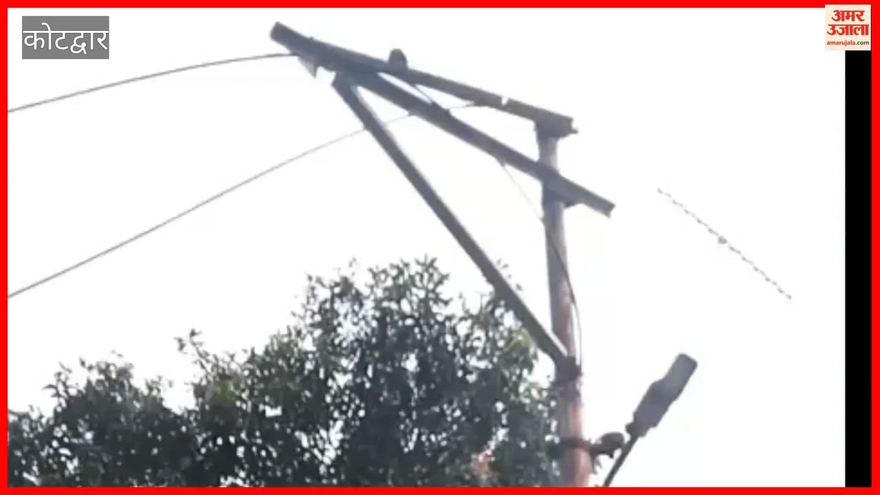 Trees fell on roads and power lines snapped due to heavy rain in Kotdwar Bhabar; repair work has begun.