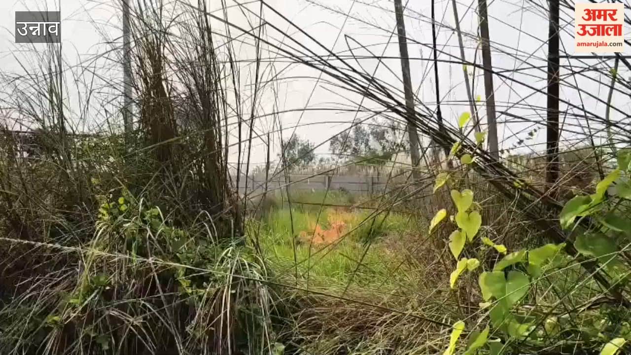 Sub-station operator dies while connecting jumper at power house