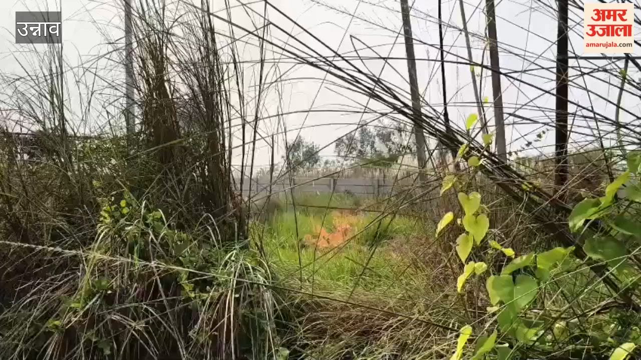 Sub-station operator dies while connecting jumper at power house