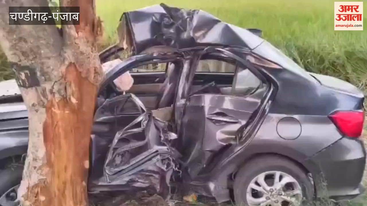 A speeding car crashed into a tree on Goindwal Sahib Road in Tarn Taran; a 21-year-old man died, and the car was badly damaged