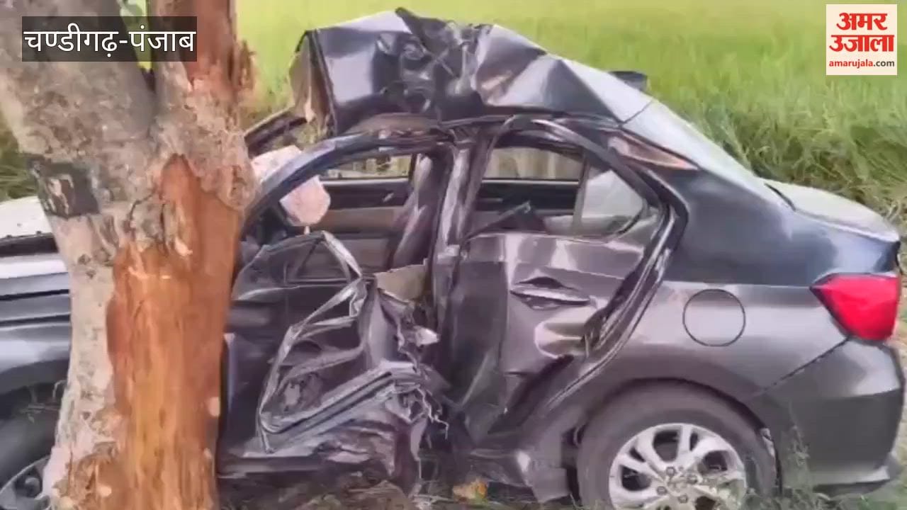 A speeding car crashed into a tree on Goindwal Sahib Road in Tarn Taran; a 21-year-old man died, and the car was badly damaged