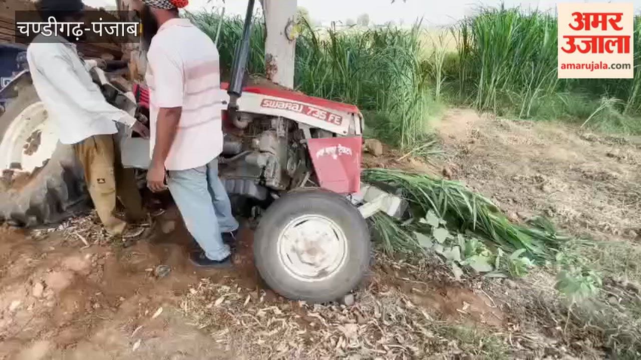 Out-of-control tractor crashes into tree in Moga