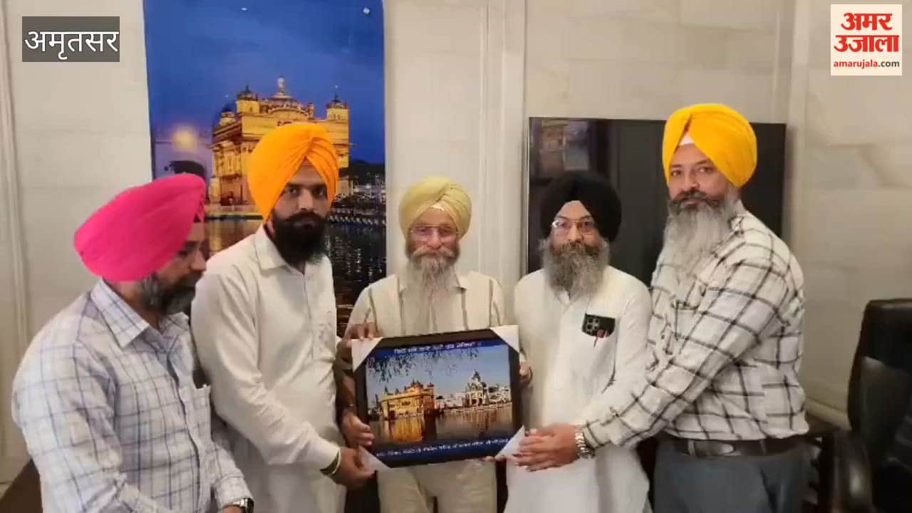 Youth from Punjab should acquire skills and complete their education right here before going abroad.