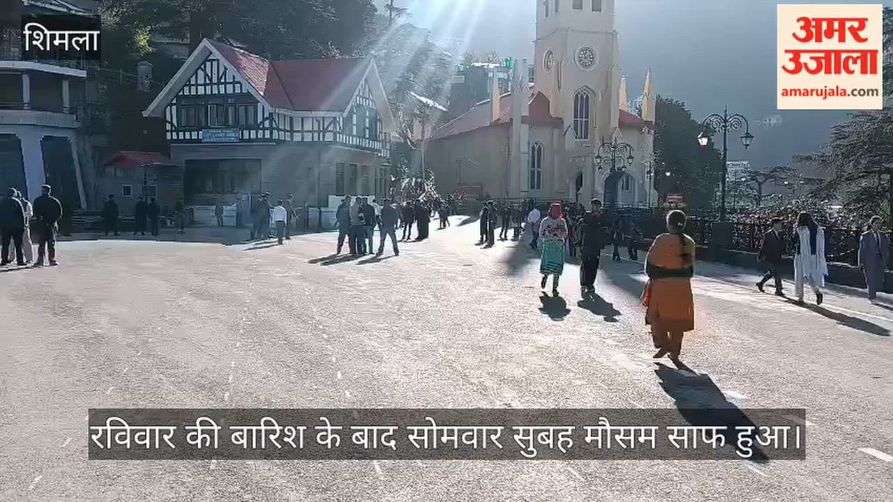 shimla weather clear sunshine after rain ridge ground activity