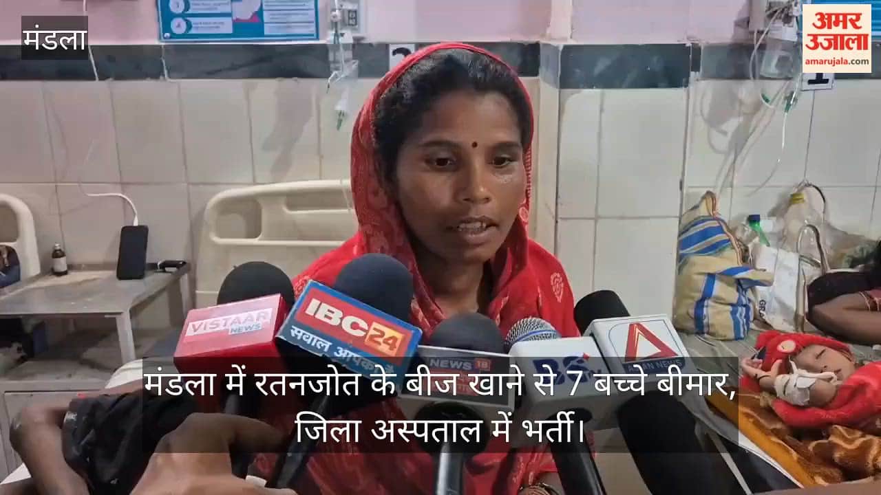 Mandla: Seven Children Fall Ill After Eating Ratanjot Seeds, Five from One Family; All Hospitalized