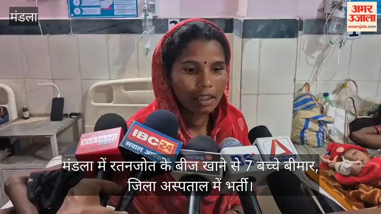 Mandla: Seven Children Fall Ill After Eating Ratanjot Seeds, Five from One Family; All Hospitalized