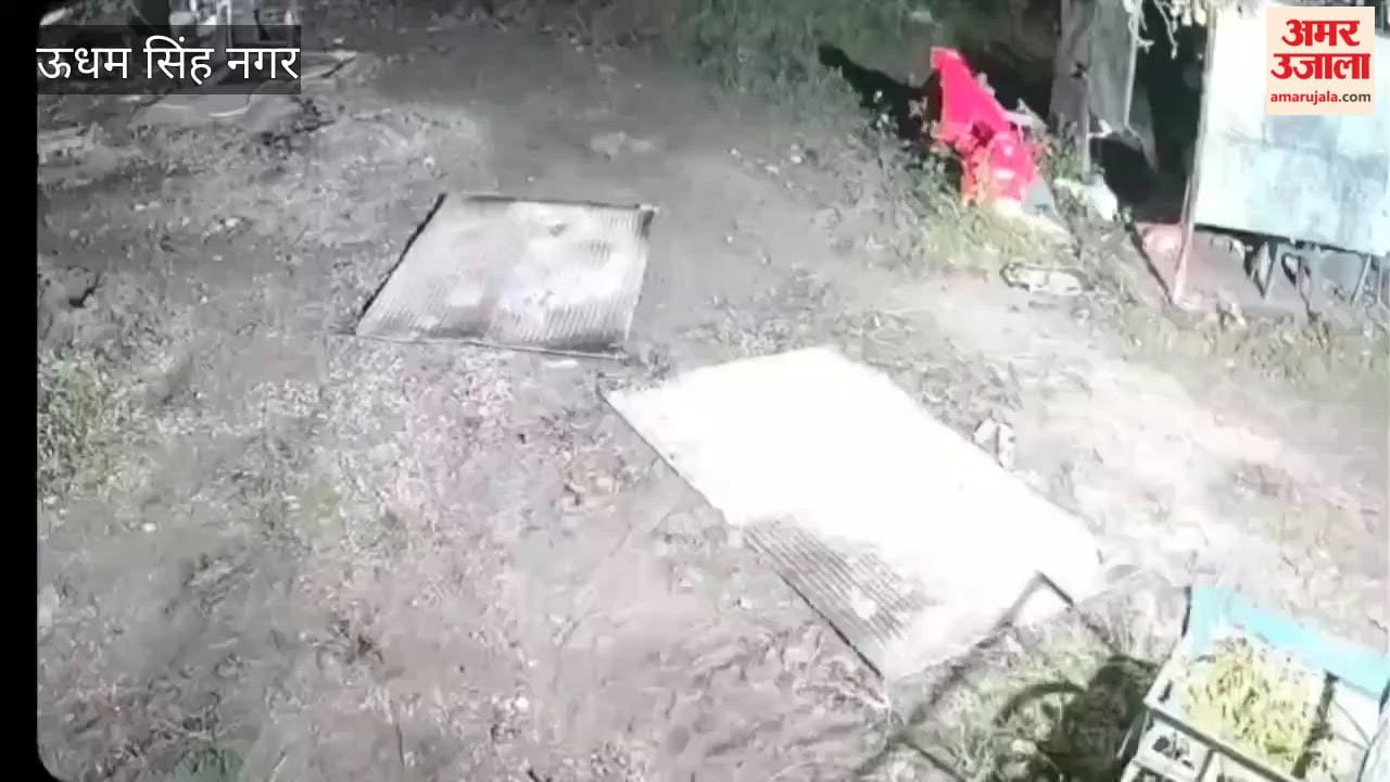 Leopard kills dog in Ganeshpur Rudrapur