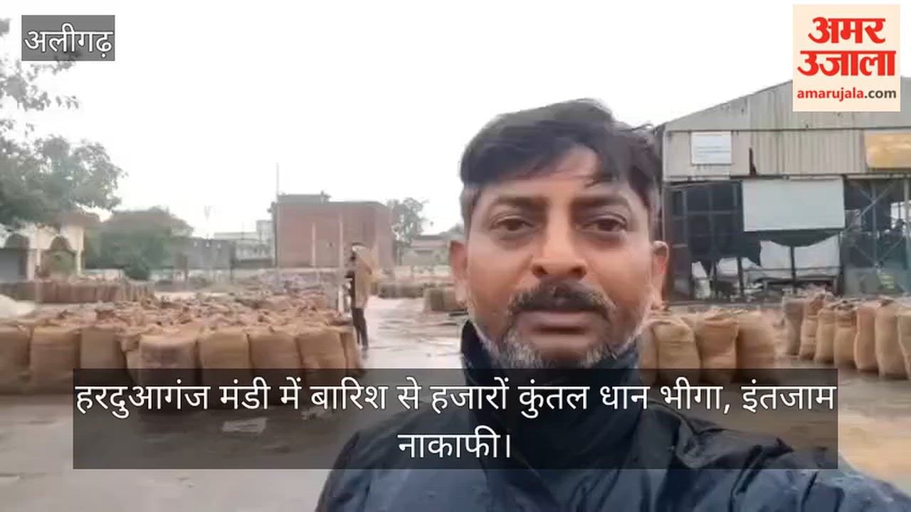 हरदुआगंज मंडी में बारिश से हजारों कुंतल धान भीगा, इंतजाम नाकाफी