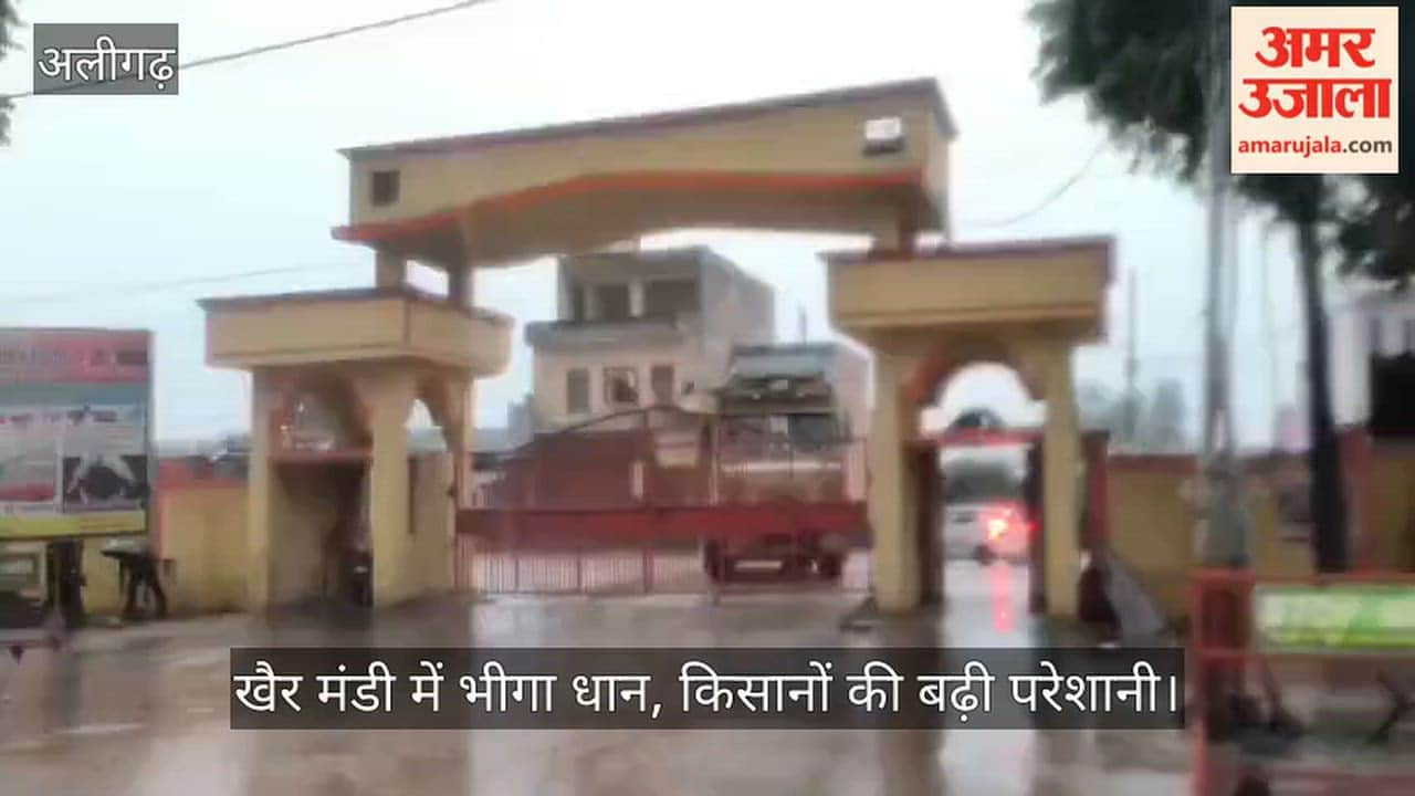 खैर मंडी में भीगा धान, किसानों की बढ़ी परेशानी