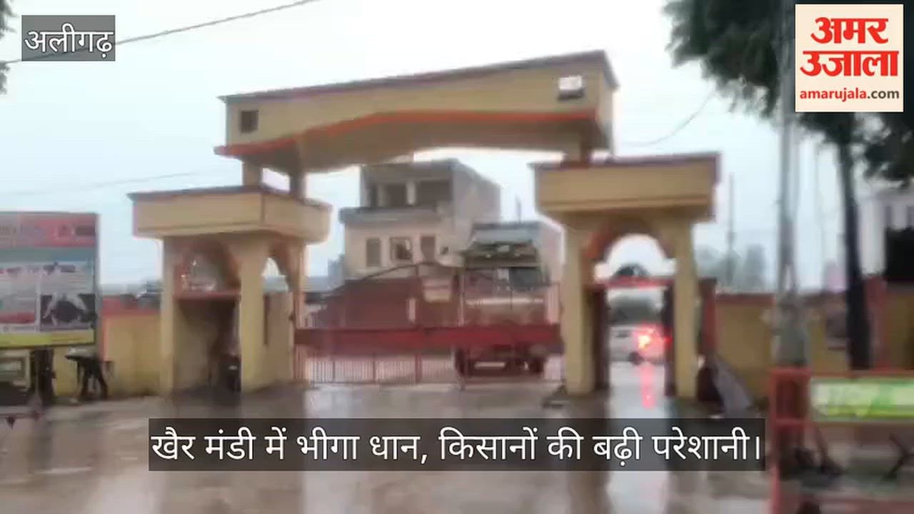 खैर मंडी में भीगा धान, किसानों की बढ़ी परेशानी