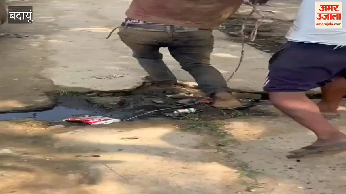 बदायूं: ग्रामीण की निर्मम हत्या, लोगों ने आरोपी को पेड़ से बांधकर पीटा; देखें वीडियो