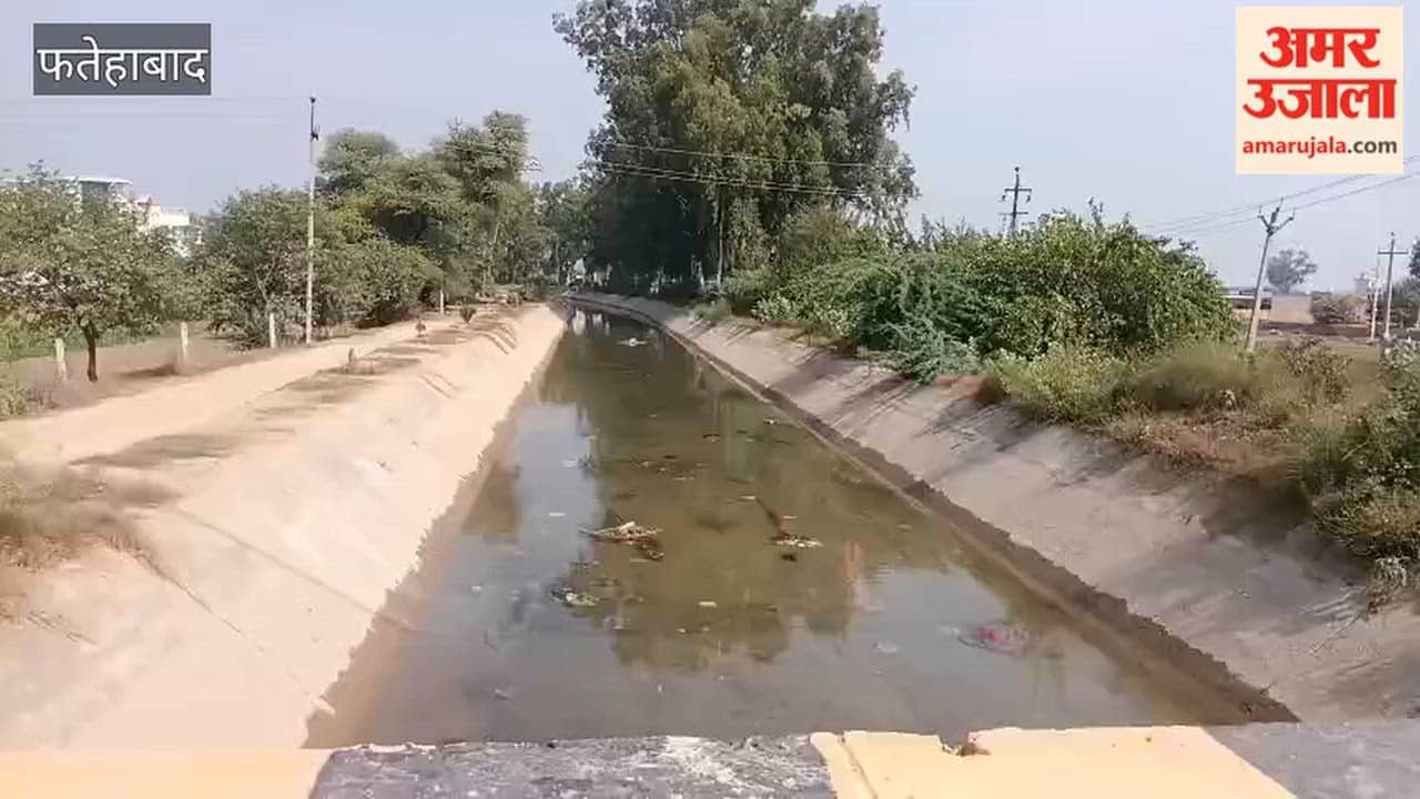 There is a fear that mustard sowing will be affected due to the closure of the canal in Fatehabad, farmers demanded to release water.