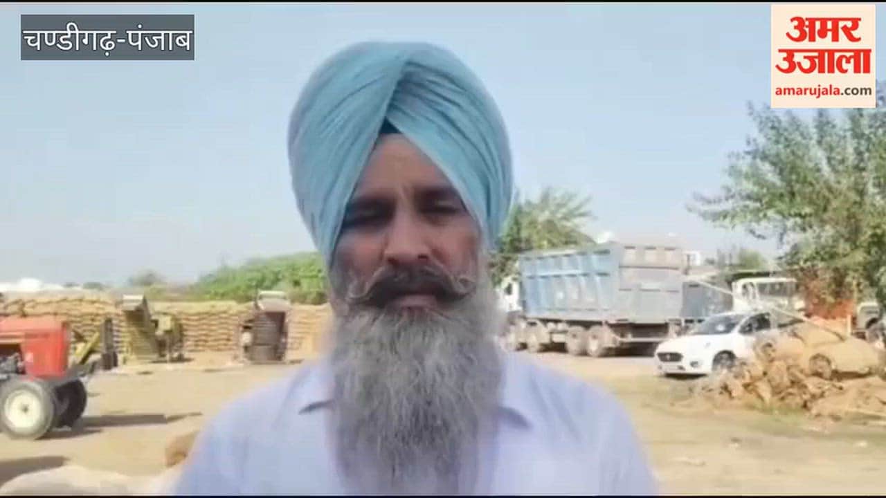Paddy crop at risk due to heavy rains