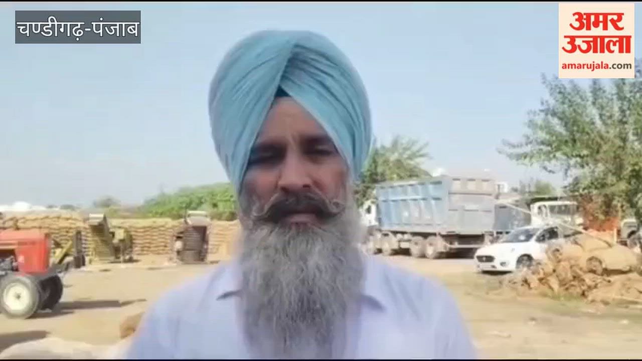 Paddy crop at risk due to heavy rains