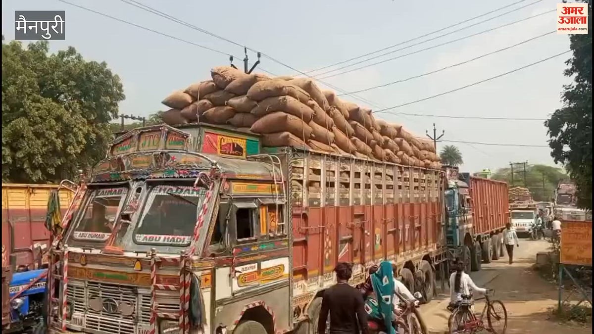 VIDEO: धान की आवक बढ़ने से नवीन मंडी के बाहर लगा एक किलोमीटर लंबा जाम