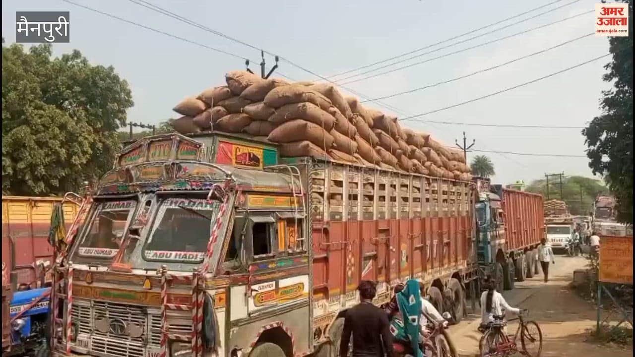 One-kilometer-long traffic jam outside the new mandi due to increased paddy arrivals.