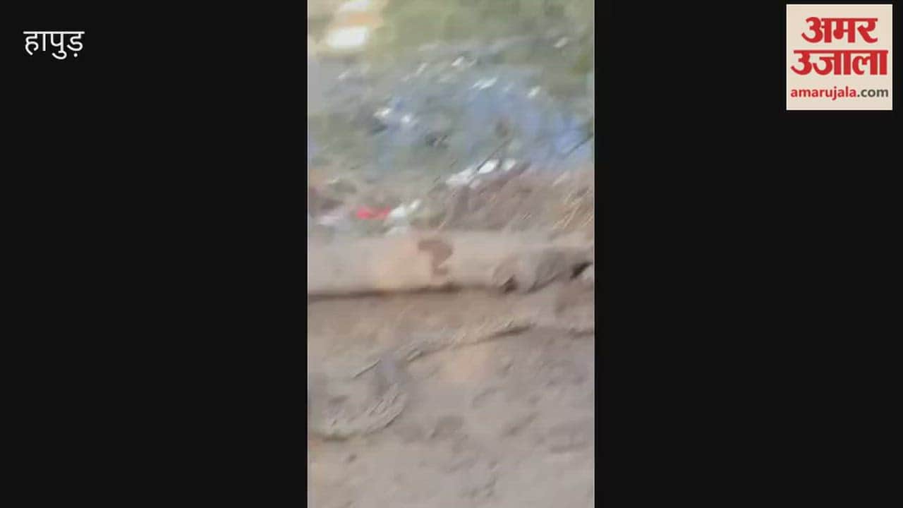 python emerged from pond in Hapur and made its way to a house