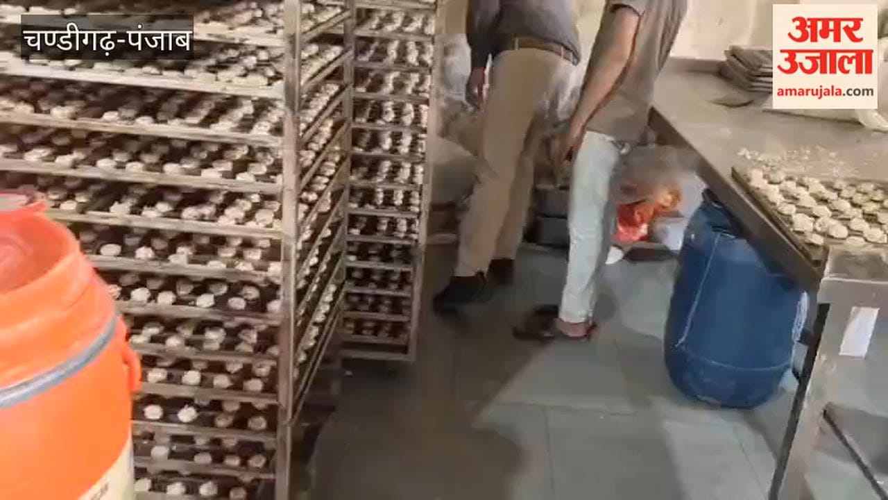 Food Safety Department raids biscuit factory in Guruharsahai; insects found in flour and semolina