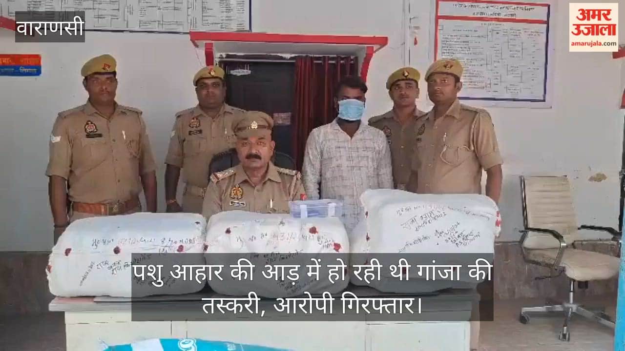 Cannabis smuggled under the guise of animal feed; accused arrested