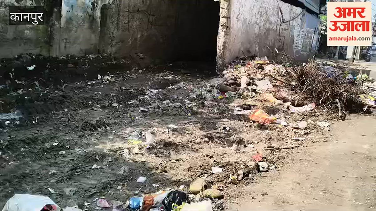कानपुर: चकेरी के हरजिंदर नगर से एयरफोर्स गेट के आगे खुले में लगा कूड़े का अंबार